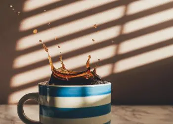 Твърде вероятно е кафето ви да е пълно с … хлебарки