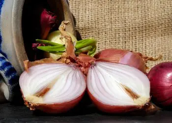 Никога не изхвърляйте тези хранителни отпадъци в боклука