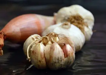 Чесън с мед правят чудеса със здравето