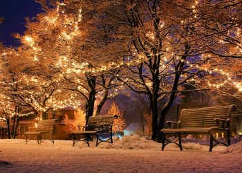 Гледането на Коледни филми ни прави здрави и щастливи, показва проучване