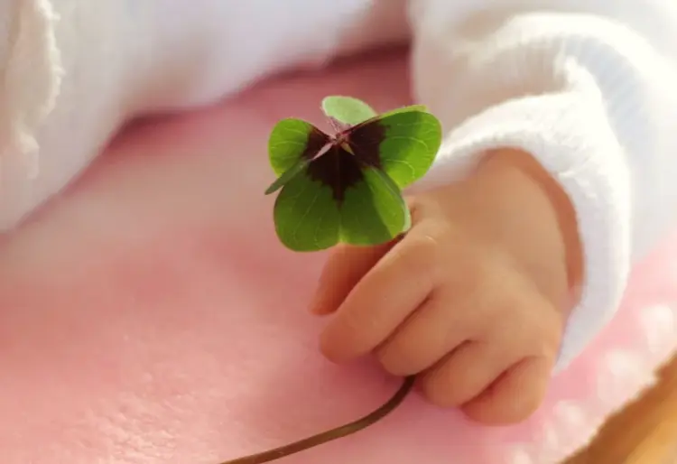 Символите, които ще ви донесат богатство и щастие през Новата 2020 година