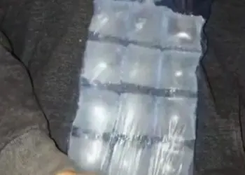 Днес ще разберете, че досега сте използвали погрешно торбичките за ледени кубчета