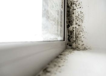 Мъчи ви плесен в дневната? Използвай тези домашни съставки и повече няма да я видиш