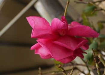 Колко са верни и колко са ревниви зодиите в проценти? И как се държат в една връзка.. Ето