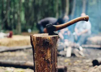 В тези времена трябва да си припомним мъдрите поговорки за труда и сполуката!