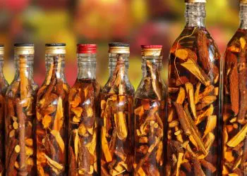 Извадиха от архивите 100-годишната рецепта срещу грип на българските военни