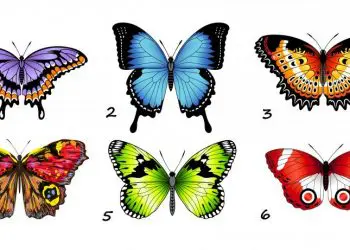 Тестът с пеперудата, който разкрива всичко за нас!