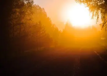 Тръгвайки по пътя „по-късно“, стигаш до мястото наречено „никога“!