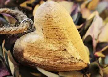 Благодарността променя мозъка, за да сме по-щастливи и лекува тялото – доказано!