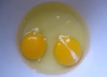 Виждали ли сте тази бяла слуз в яйцата? Ето какво представлява и дали е опасна!