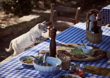 Списък със забранените храни, които в никакъв случай не трябва да давате на котката си!