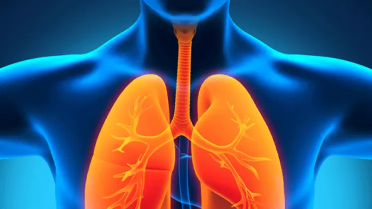 Топ 10 домашни продукти и съставки срещу вирусни инфекции, бронхит и кашлица