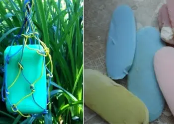 Безопасният начин да се справим с вредителите – трябва ни само сапун!