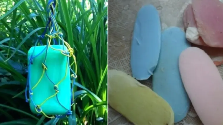 Безопасният начин да се справим с вредителите – трябва ни само сапун!