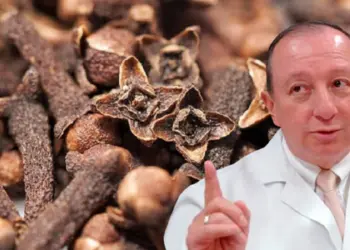 Карамфилът не е само за кухнята! Има невероятни лечебни свойства!