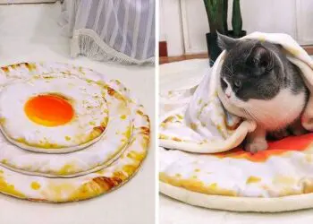 15 невероятни възглавници, които приличат на любимата ни храна!