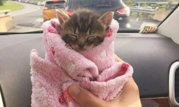 Колекция очарователни снимки, които ще накарат най-големия сърдитко да се усмихне!