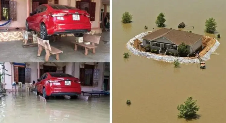 16 снимки отнасящи се до находчивостта и далвидността на хората! Интересно!