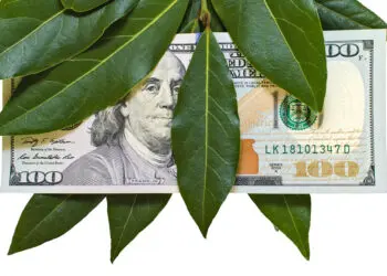 Древните ритуали на гърците и римляните с дафинов лист за сбъдване на желания и предпазване от беди