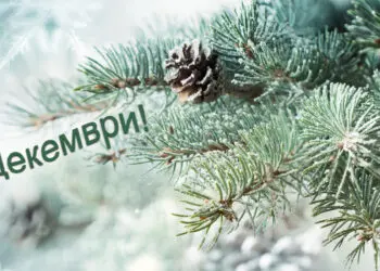 Шест доказани причини защо хората родени през декември са по-специални от останалите