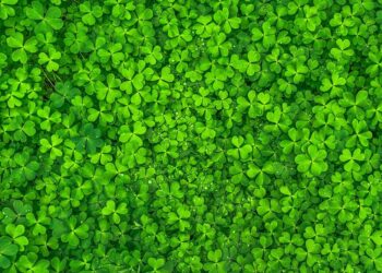 Късметче за 25 септември според зодията, виж твоето!