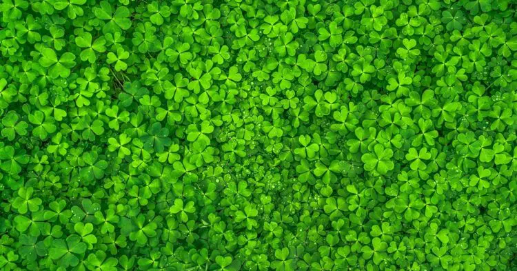 Късметче за 25 септември според зодията, виж твоето!