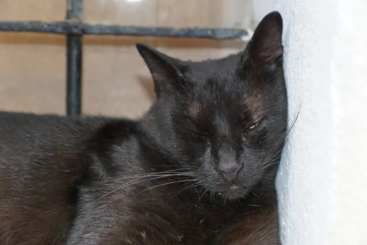 Имаш лош късмет? Ето 2 прости неща, които ще го поправят!