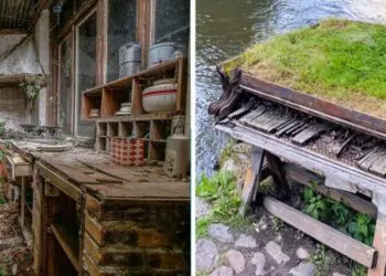 18 снимки, които доказват, че природата винаги намира начин да върне това, което е нейно!