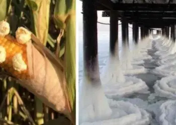 Хората показват какво означава да живееш в екстремни метеорологични условия