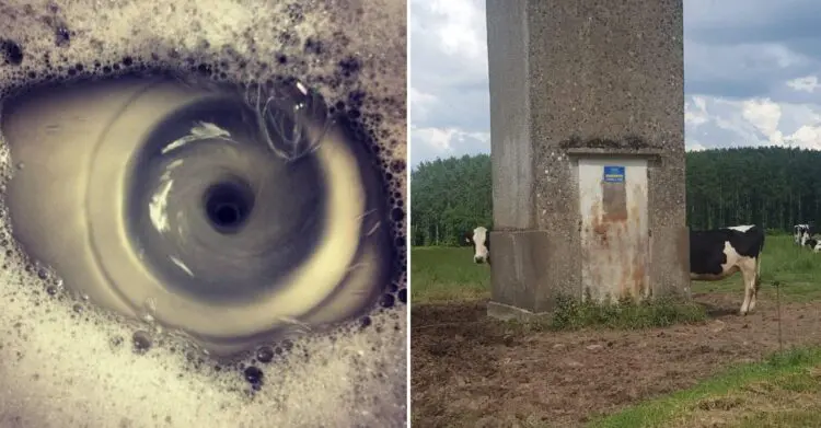 13 кадъра, които са способни лесно да объркат ума ти