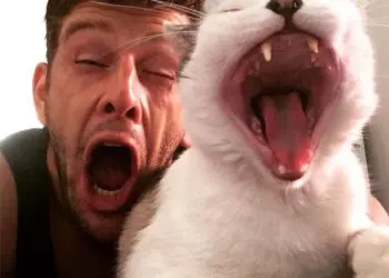 Тествай себе си дали можеш да разгледаш тези снимки, без да се прозяваш! Бас, че не можеш!