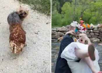 13 екшън кадъра, на които се разигра сериозна драма! (ЕПИЧНИ СНИМКИ)