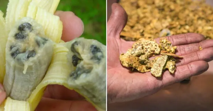 14 интересни и любопитни факта за нашия свят