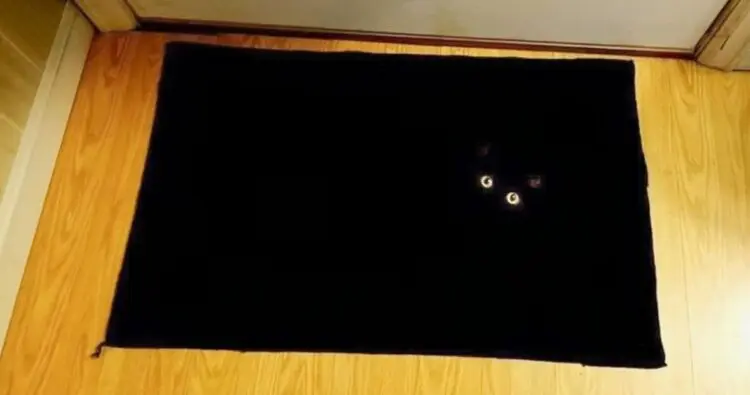 15 животни, които са достойни да се нарекат агент 007