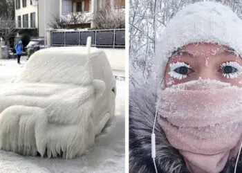 Суровата реалност на зимните студове