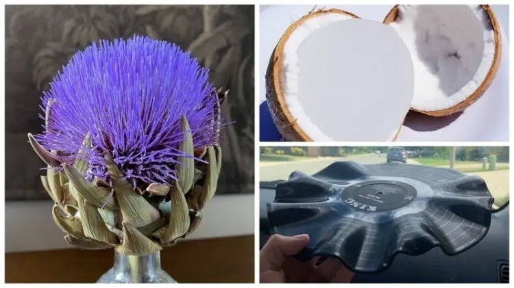 20 забавни отговора на въпроса – „Какво ще стане, ако…?“