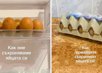 9 неща за ежедневния живот на германците, които ще те изумят