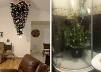 Как да спасим коледното дръвче от домашния любимец? Експертите споделят опита си!