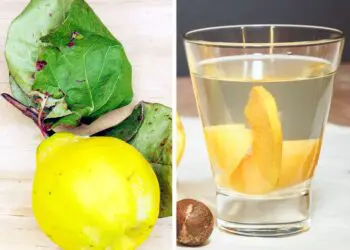 10 напитки, които могат да направят чудеса за нашето здраве