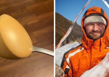 26 снимки, които са като балсам за ранената душа на всеки перфекционист