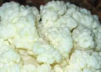 Чашка от това странно и непознато нещо помага на стомаха и за обмяната на веществата