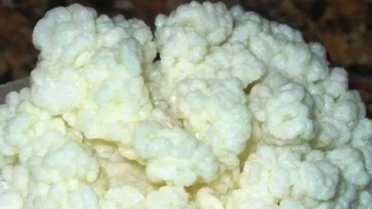 Чашка от това странно и непознато нещо помага на стомаха и за обмяната на веществата