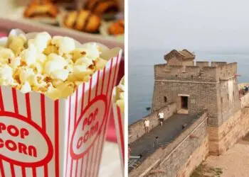 Любопитно! Необичайни и интересни факти по различни теми