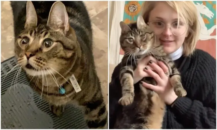 Всички подминаваха тази котка в приюта, докато едно момиче не реши да промени нейната съдба…