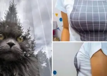 Нищо не е такова, каквото изглежда, погледни два пъти и ще разбереш…