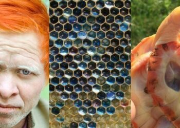 9 невероятни неща, които си струват да бъдат видяни…