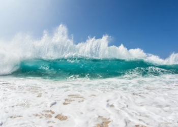 Любопитни факти за океана, които ще Ви оставят без думи