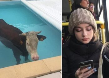 15 озадачаващи снимки, за които трудно ще намерим логично обяснение