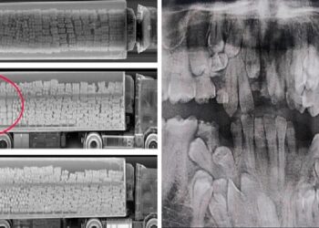 Рентгеновите лъчи ни показват света от един неочакван ъгъл…