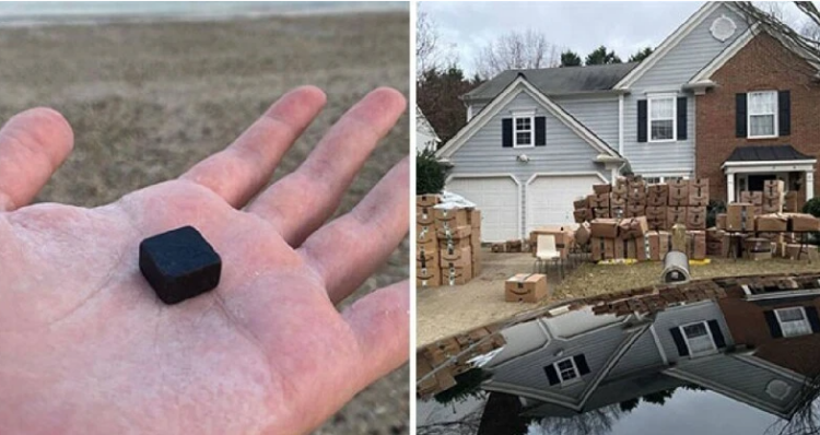 Нестандартни неща, които е наистина любопитно да се видят